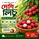 ৫০০ পিস দেশি তাজা ও রসালো লিচু – সরাসরি গাছ থেকে সংগ্রহকৃত